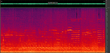 Figure showing Spectrograms of two different traffic noise samples